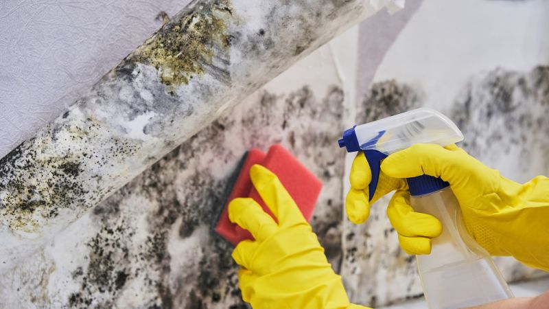 Mold Prevention