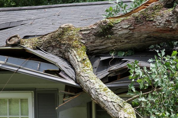Storm Remediation in East Lansing