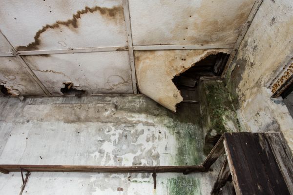 Water Damage Service in East Lansing