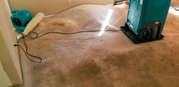 Flood Damage Cleanup in East Lansing