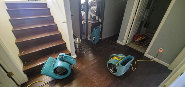 Water Damage Remediation in East Lansing