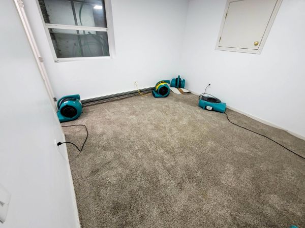 Flood Restoration Service in East Lansing