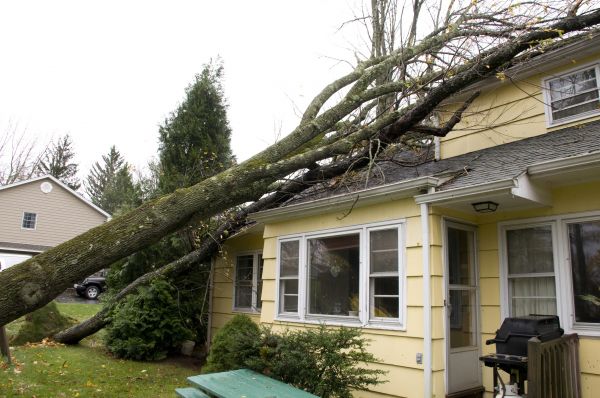 Hurricane Damage Repair in East Lansing