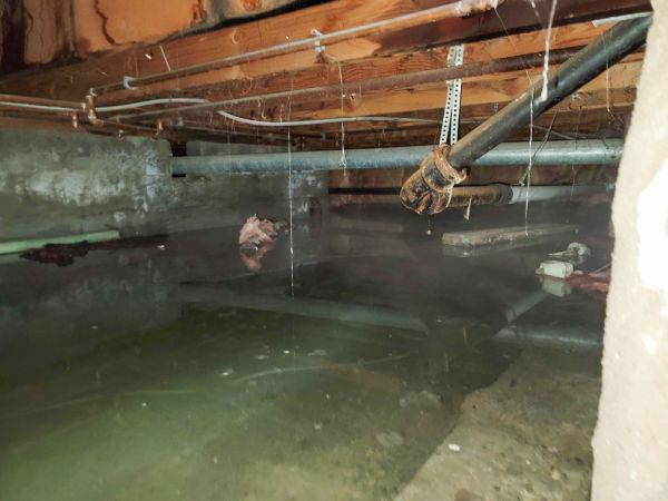 Crawlspace Water Restoration in East Lansing